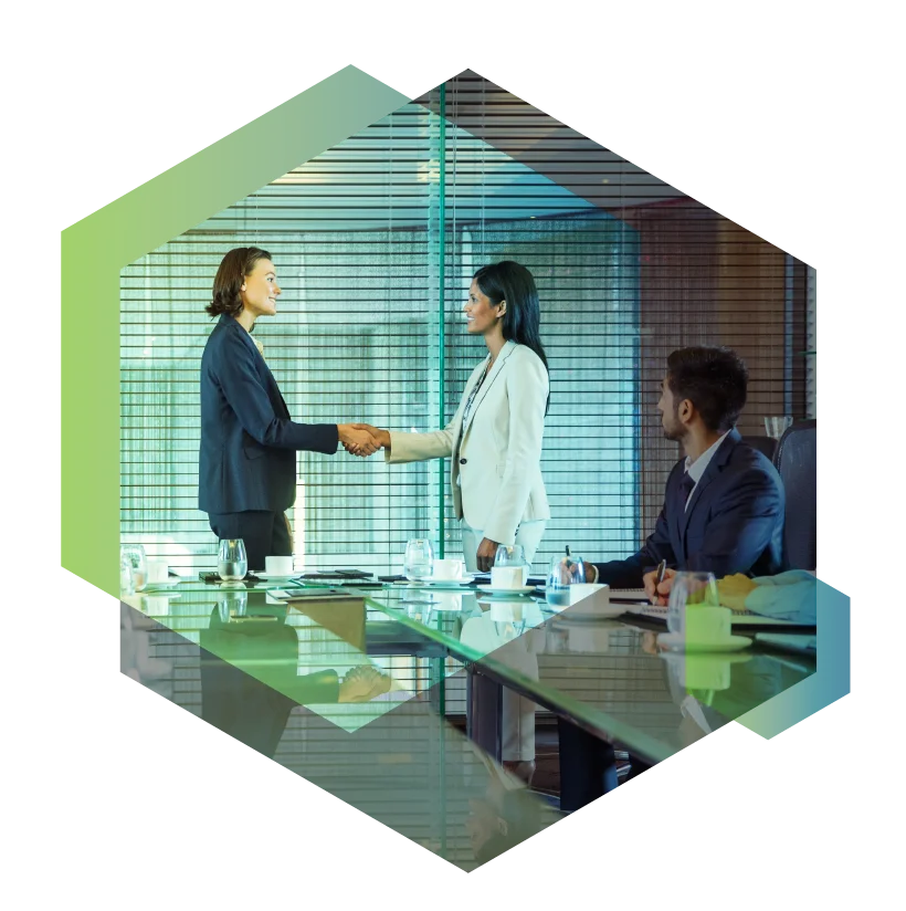 Business professionals shaking hands