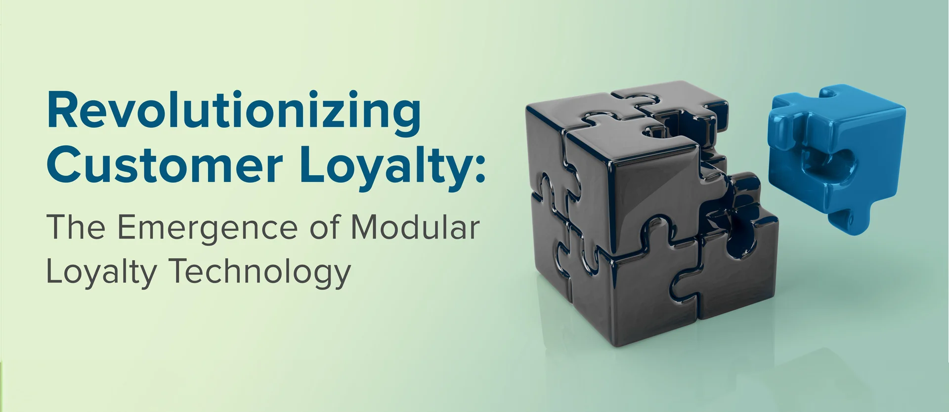 Modular loyalty program components visualization
