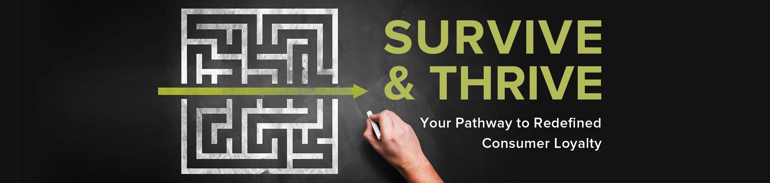 Survive & Thrive: Your Pathway to Redefined Consumer Loyalty - Report thumbnail
